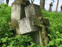 Wierzbica_528