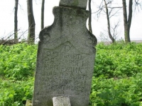 Wierzbica_530