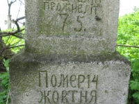 Wierzbica_533