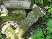 Wierzbica_534