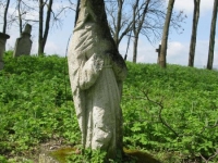 Wierzbica_535