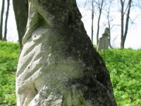 Wierzbica_536