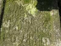 Wierzbica_538
