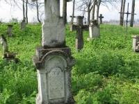 Wierzbica_539