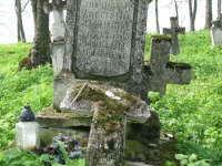 Wierzbica_541