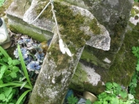 Wierzbica_542