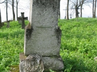 Wierzbica_545