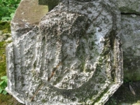Wierzbica_546