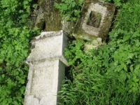 Wierzbica_548
