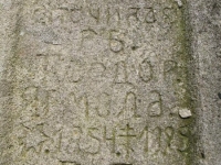 Wierzbica_549