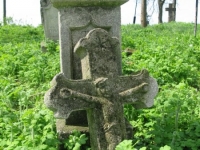 Wierzbica_550