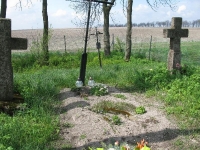 Wierzbica_555