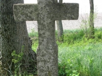 Wierzbica_556