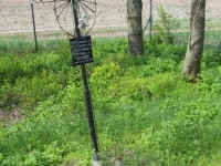 Wierzbica_557