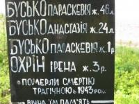 Wierzbica_558