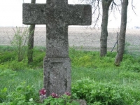 Wierzbica_559