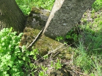 Wierzbica_561