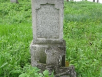 Wierzbica_562