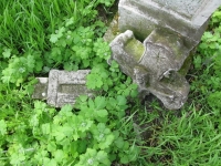Wierzbica_563