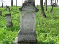 Wierzbica_565