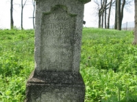 Wierzbica_567