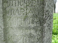 Wierzbica_568