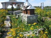 Wierzbica_06