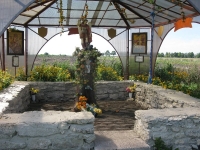 Wierzbica_13