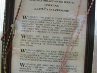 Wierzbica_15