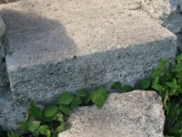 Wierzbica_20