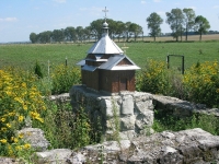Wierzbica_22