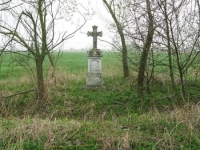 Wierzbica_001
