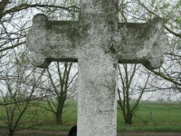Wierzbica_008