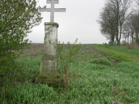Wierzbica_010