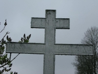Wierzbica_012