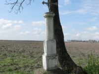 Wierzbica_894