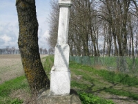 Wierzbica_895