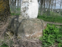 Wierzbica_896
