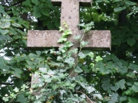 hujsko_35