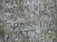 Podemszczyna_030
