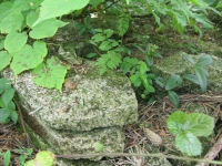 Podemszczyna_221