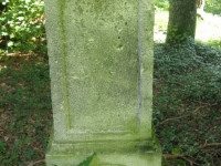 Podemszczyna_390