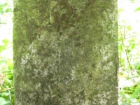 Podemszczyna_435