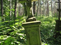 Podemszczyna_451