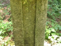 Podemszczyna_460