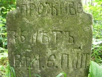 Podemszczyna_489