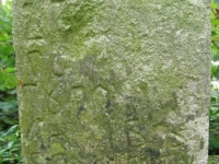 Podemszczyna_503