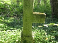 Podemszczyna_517