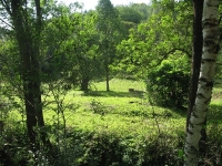 foto_210