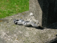 foto_048